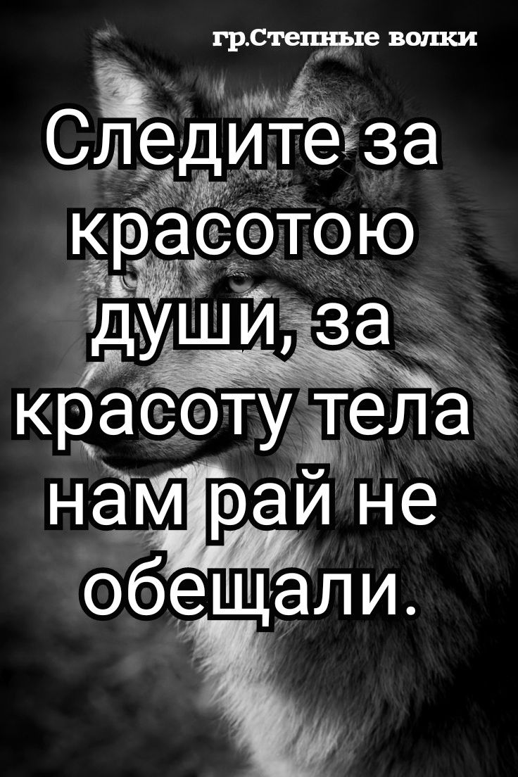 736x1104   Мотивирующие цитаты für Android - APK herunterladen 