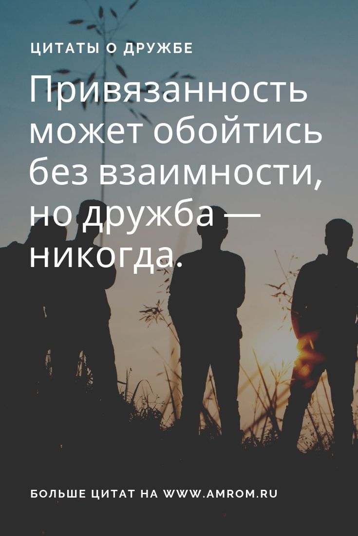 735x1102   Цитаты, высказывания, афоризмы про друзей и дружбу 