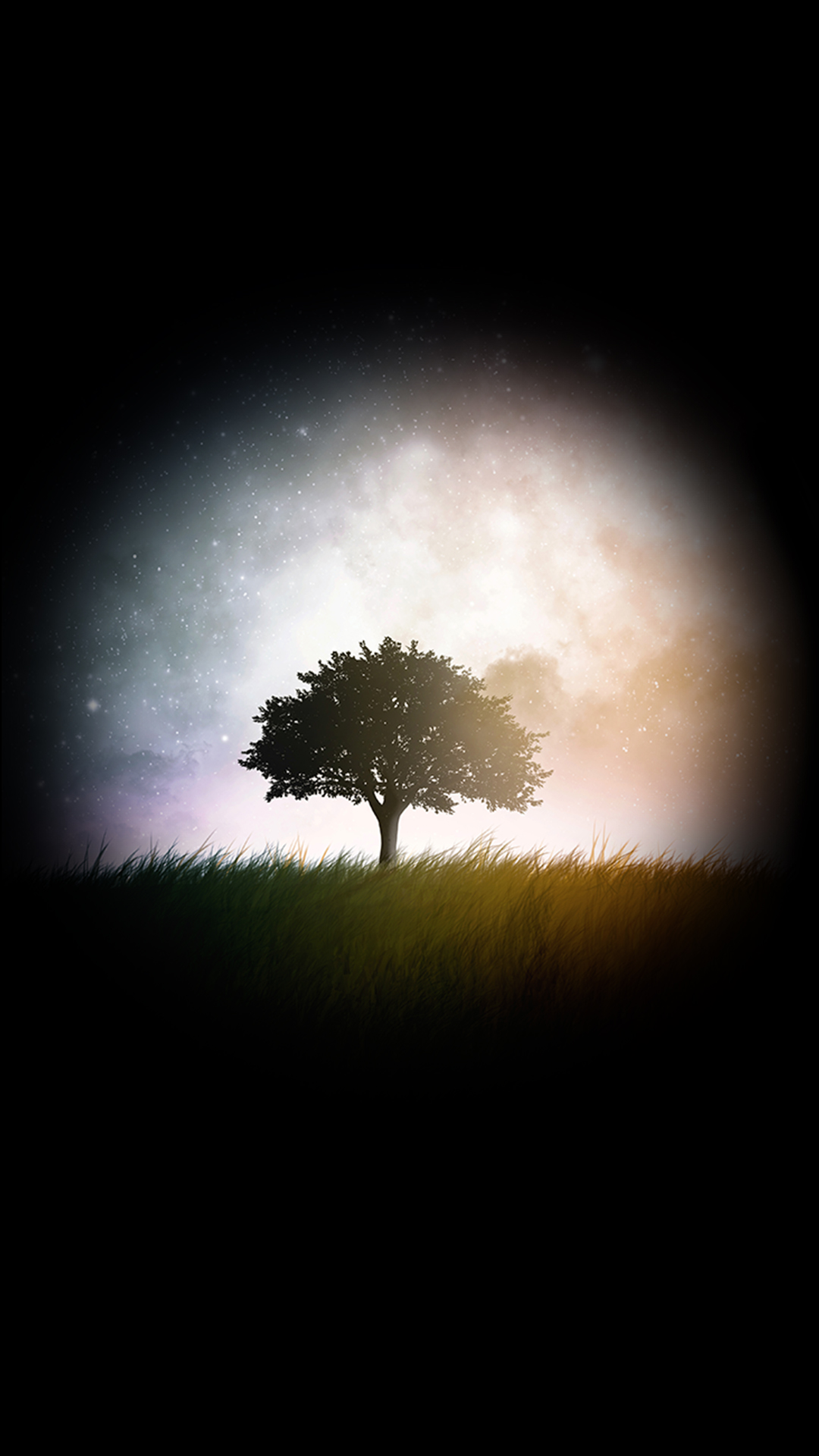 1080x1920   Black Tree Wallpaper Android ~ Kecbio