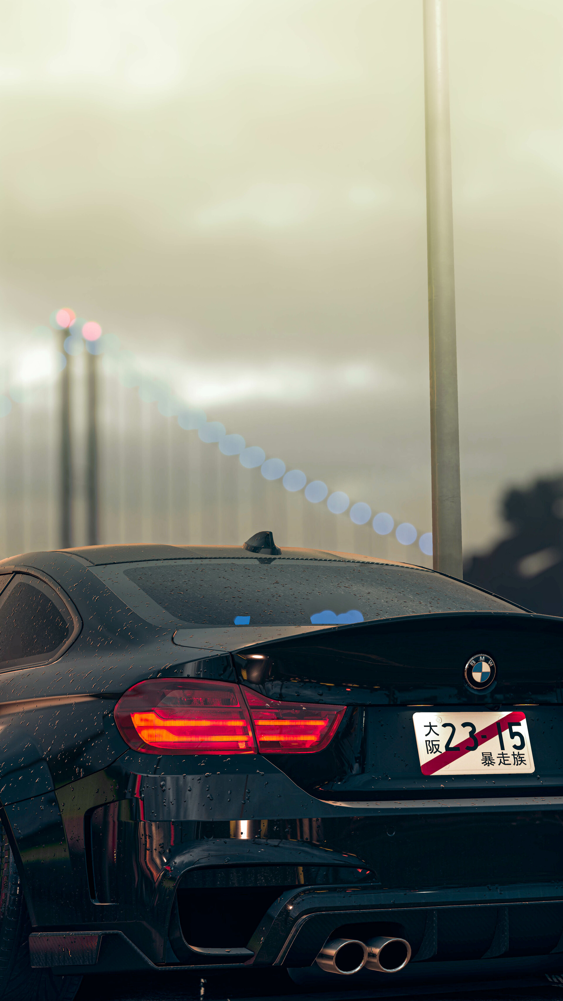 1920x3413  Gabrielle Willy - BMW M4 Телефон Обои 