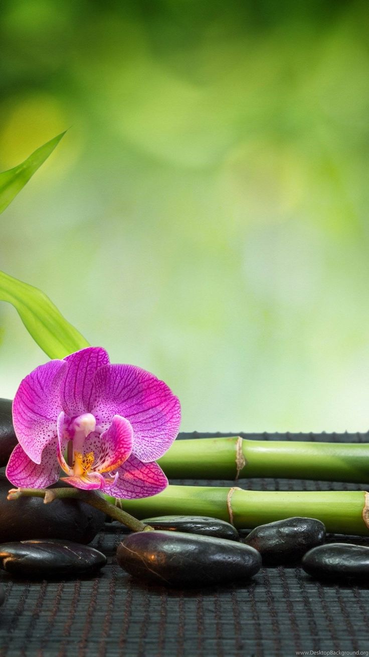 736x1308  feng Shui обои - обои для обоев Cave