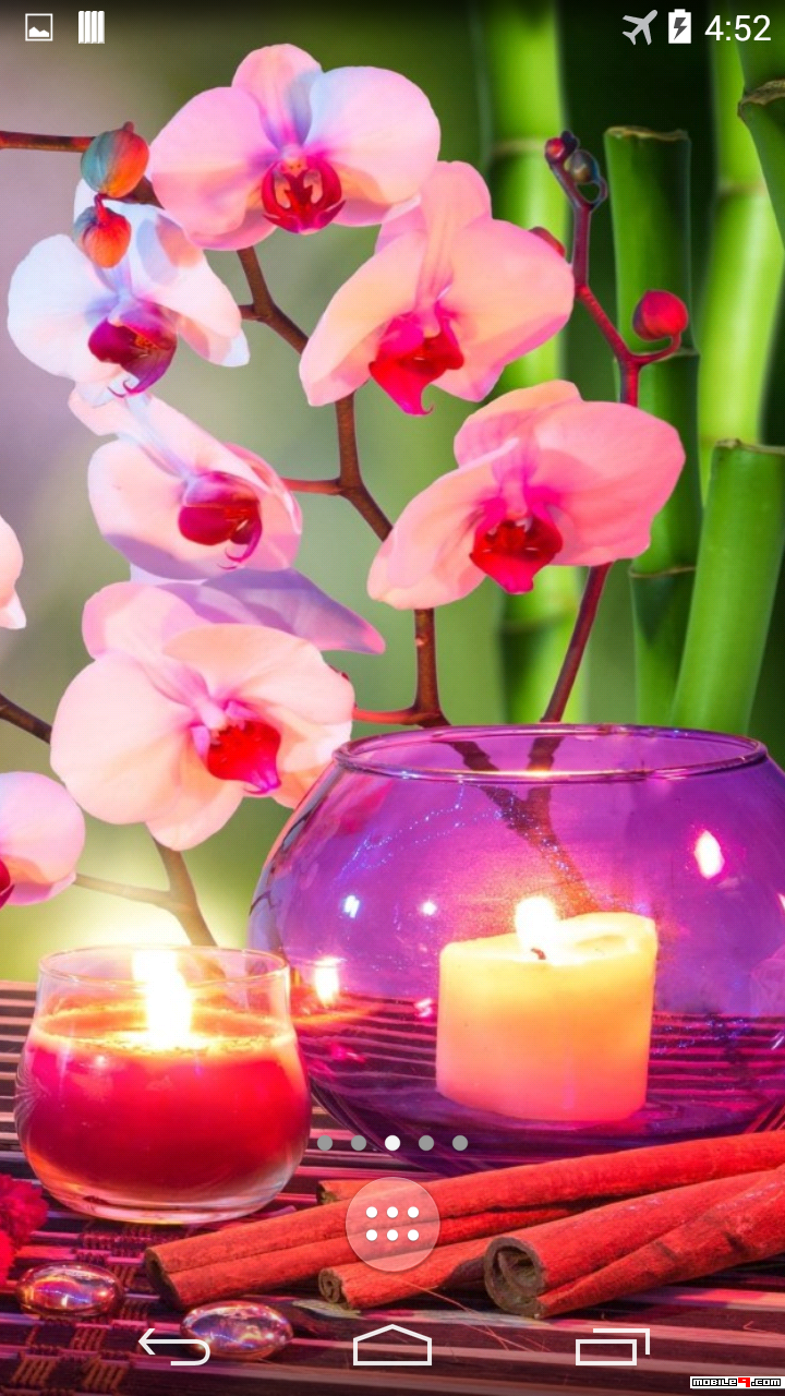 720x1280  _lucky Dragon Wallpapers - WallPaperAccess