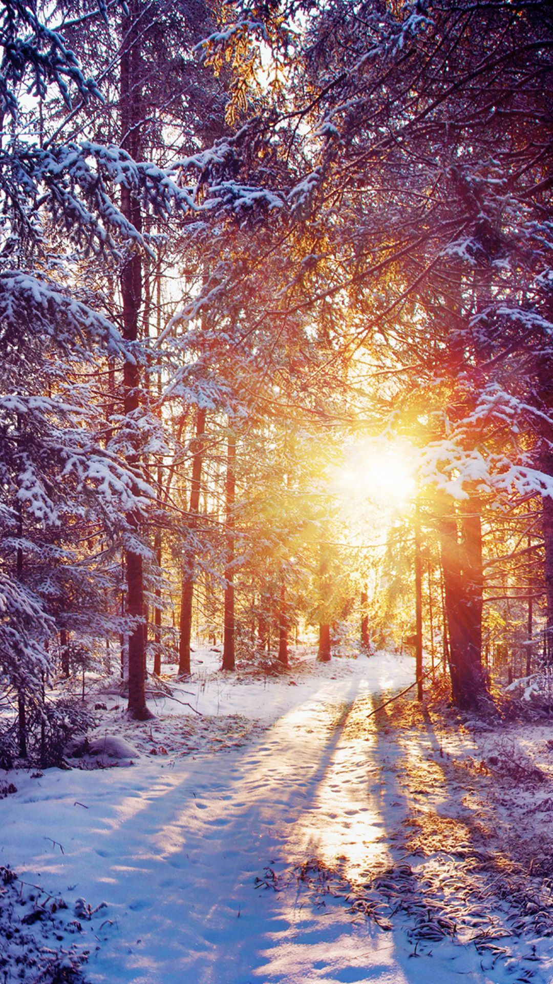 фото зимы красивые на телефон на заставку