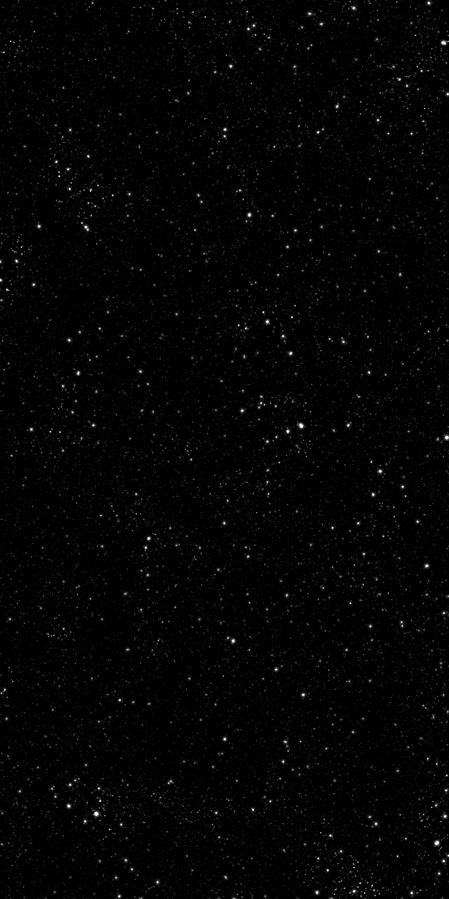 1440x2880  samsung Galaxy S8 на WallpaperDog