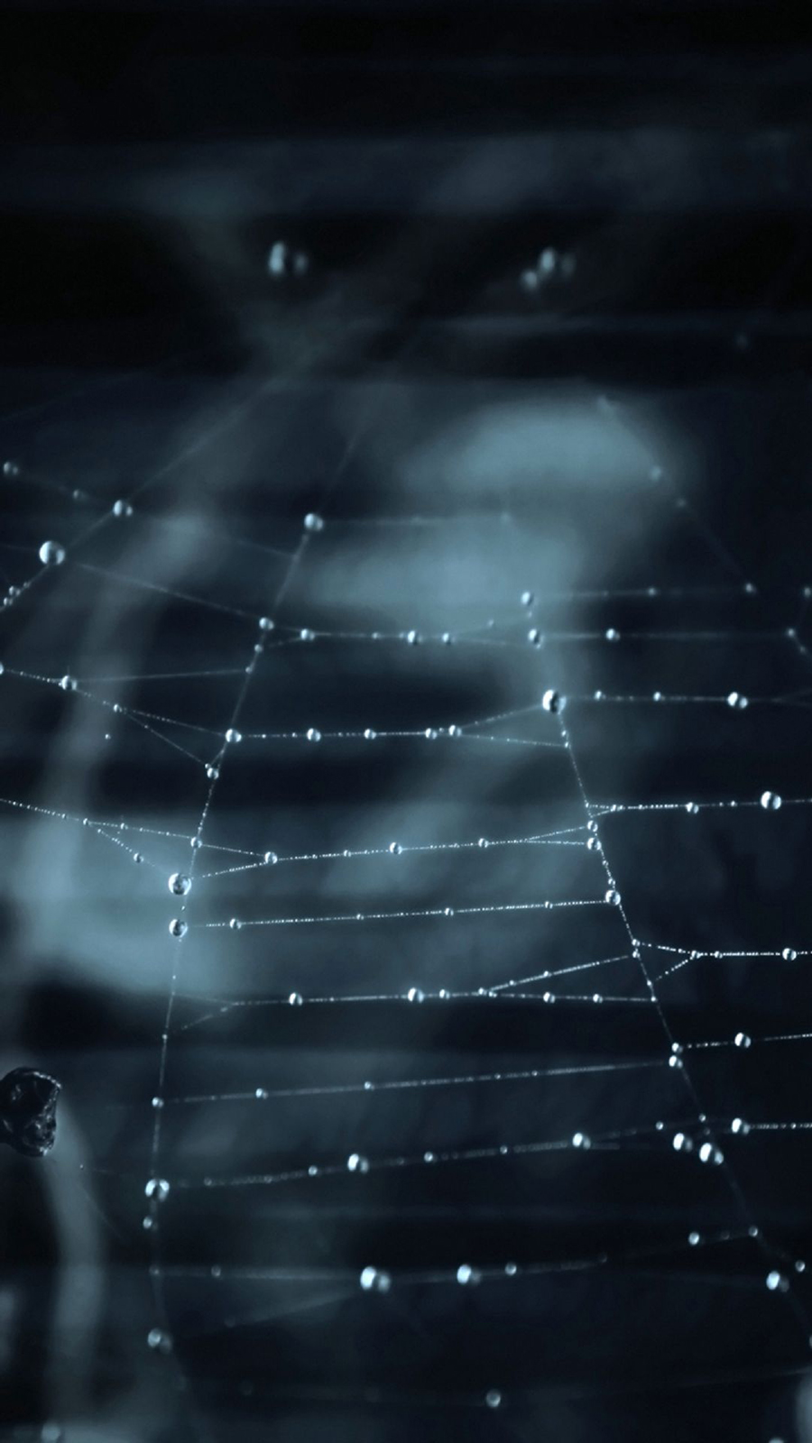 900x1600   50+] Живые обои для Nokia Lumia на Wallpapersafari