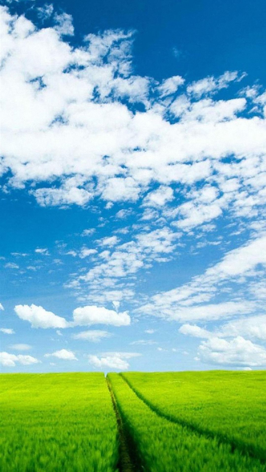 1080x1920   Обои S4 на WallpaperDog 