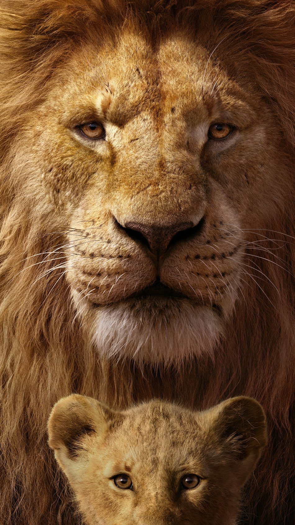 950x1689  Lion King Scar Wallpapers на WallpaperDog