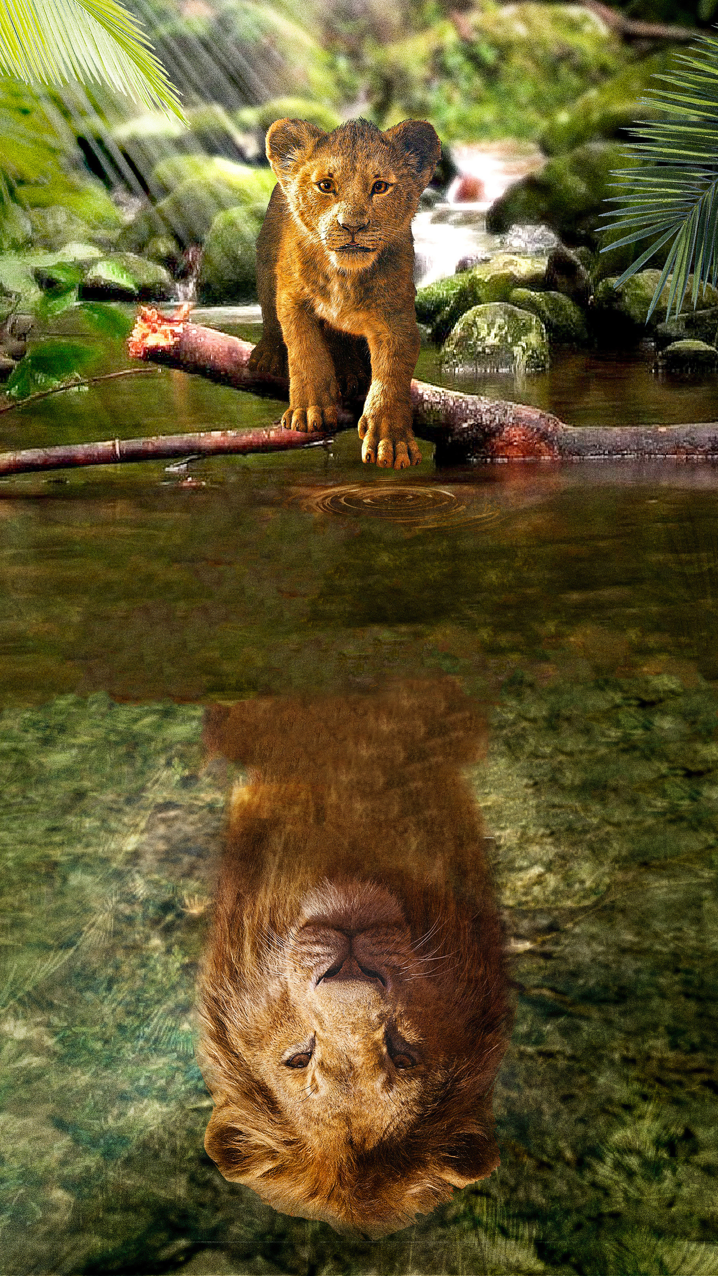 1440x2560   BD52-Disnay-Hakuna-Matata-Simba-Cute-Animal-Art-Iragate-Wallpaper 