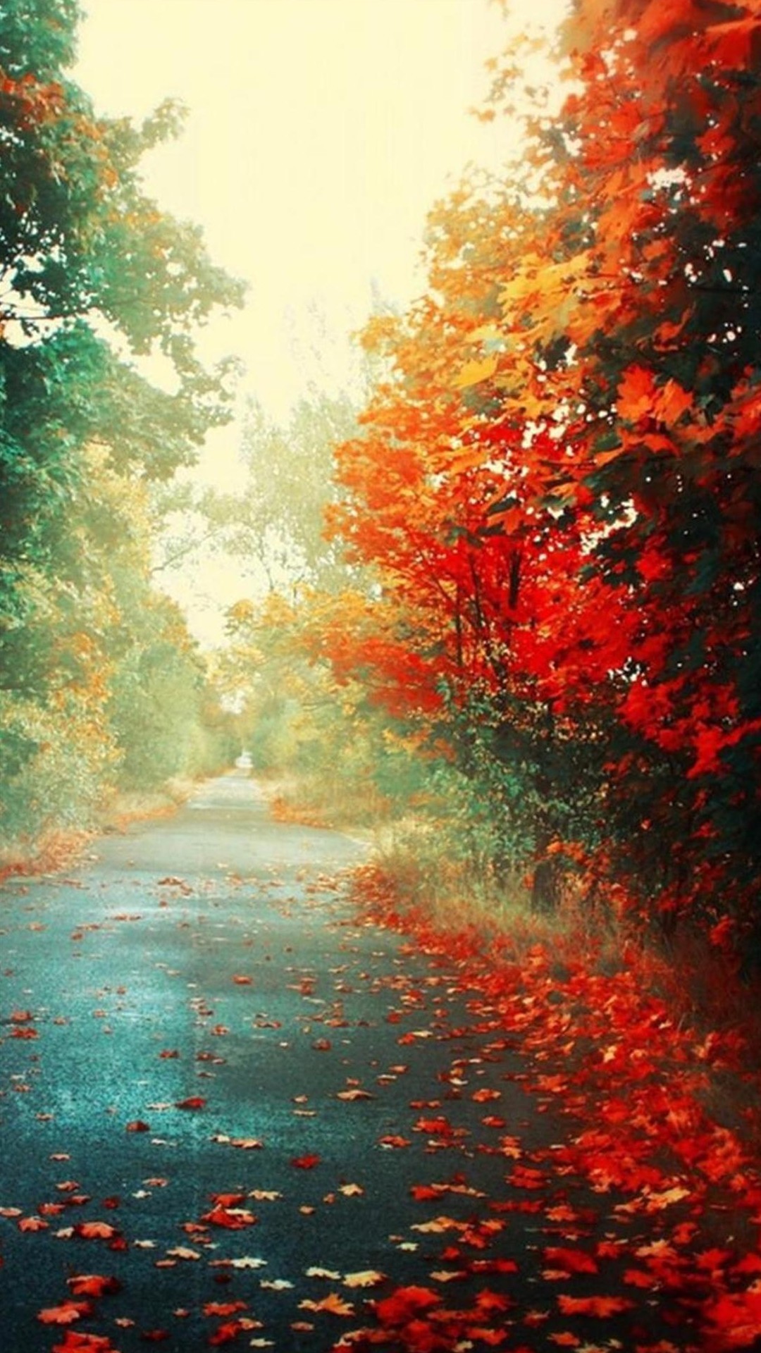 1080x1920   47+] Обои для HTC One на Wallpapersafari