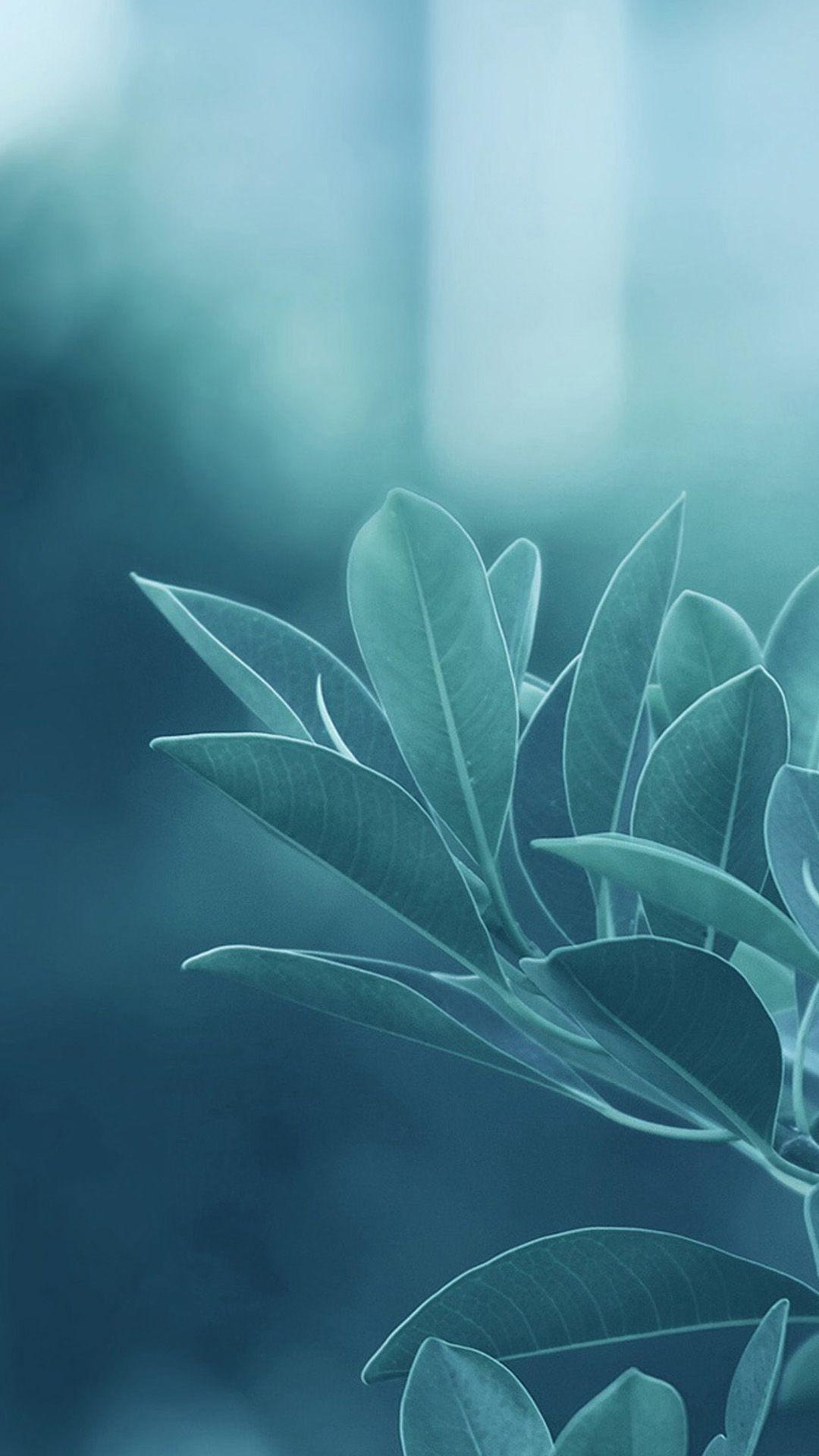 1080x1920   Красивые HTC Обои 45510 1080x1920px