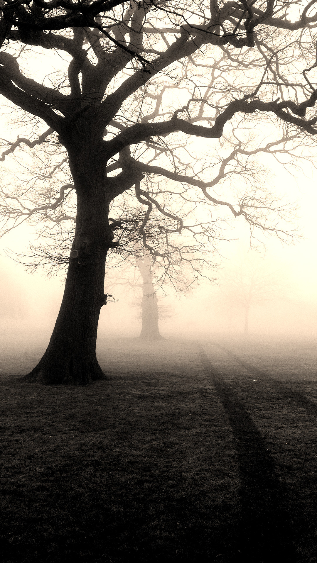 1080x1920   Ячаша телефона Обои - страшные обои для iPhone (# 889215) - HD обои \ U0026 фона Download