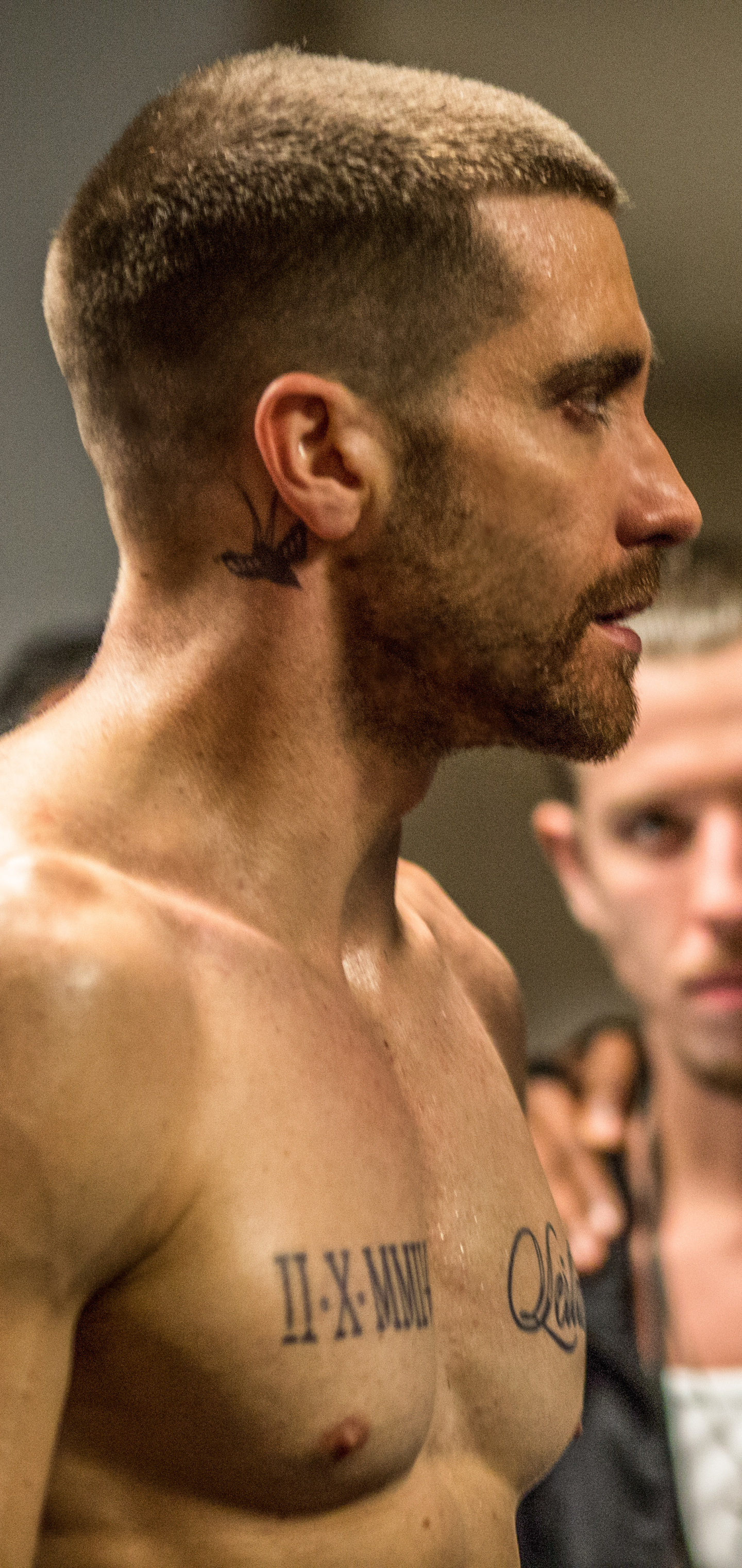 1440x3040   Southpaw HD Обои 720x1280 - HD Wallpaper - Wallpapers.net 