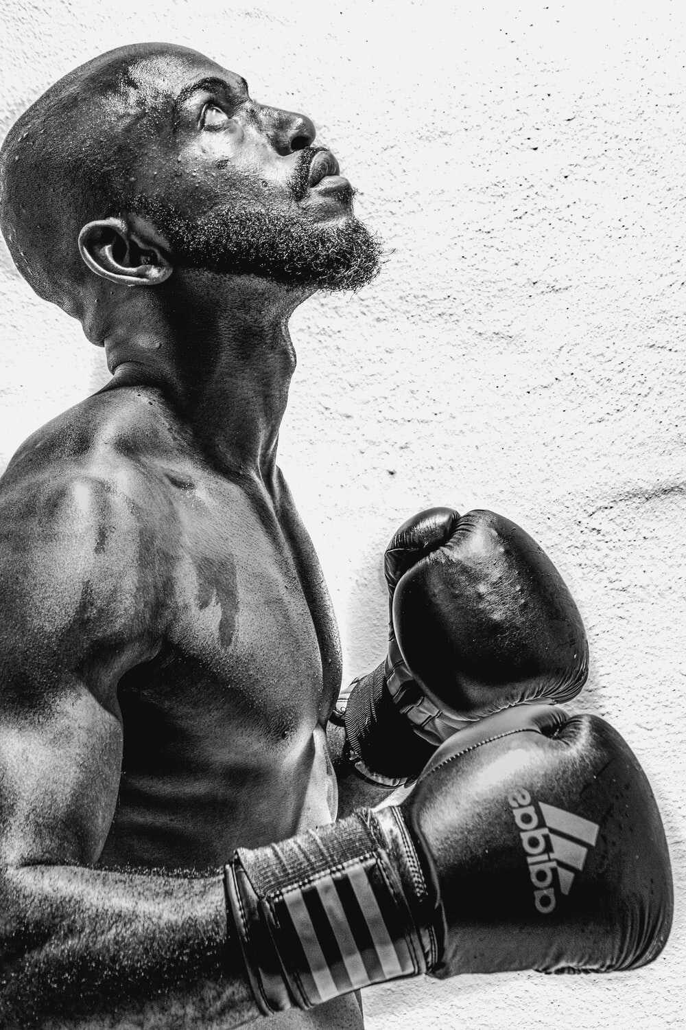 1000x1500   Обои Southpaw, Лучшие фильмы 2015 года, фильм, Рейчел Макдамс, Джейк Гилленхал, Кино # 6770 - Страница 3