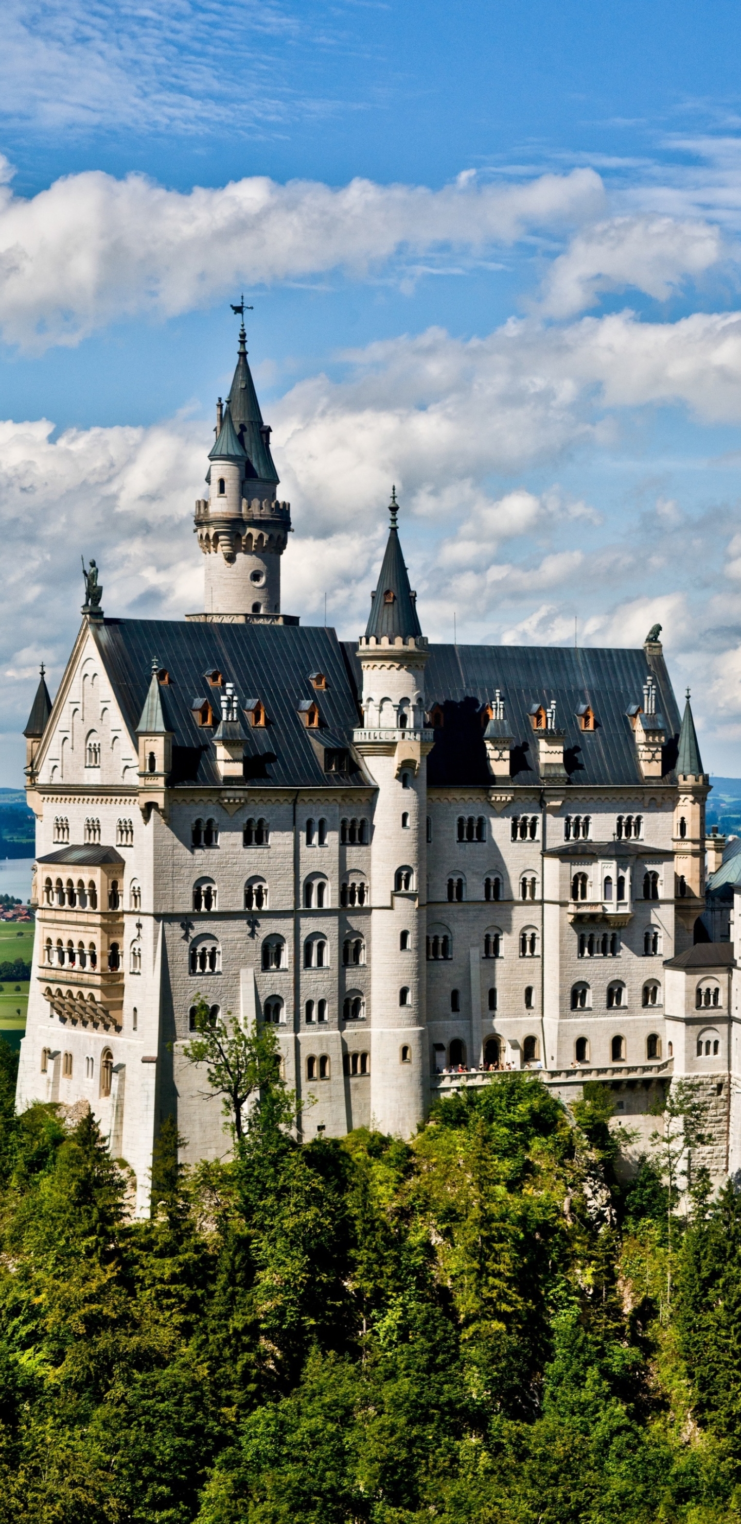 1440x2960  Мобильные обои |. 80 лучших бесплатных обоев, фон, наружный и справочная информация Android Фотографии на Unsplash 