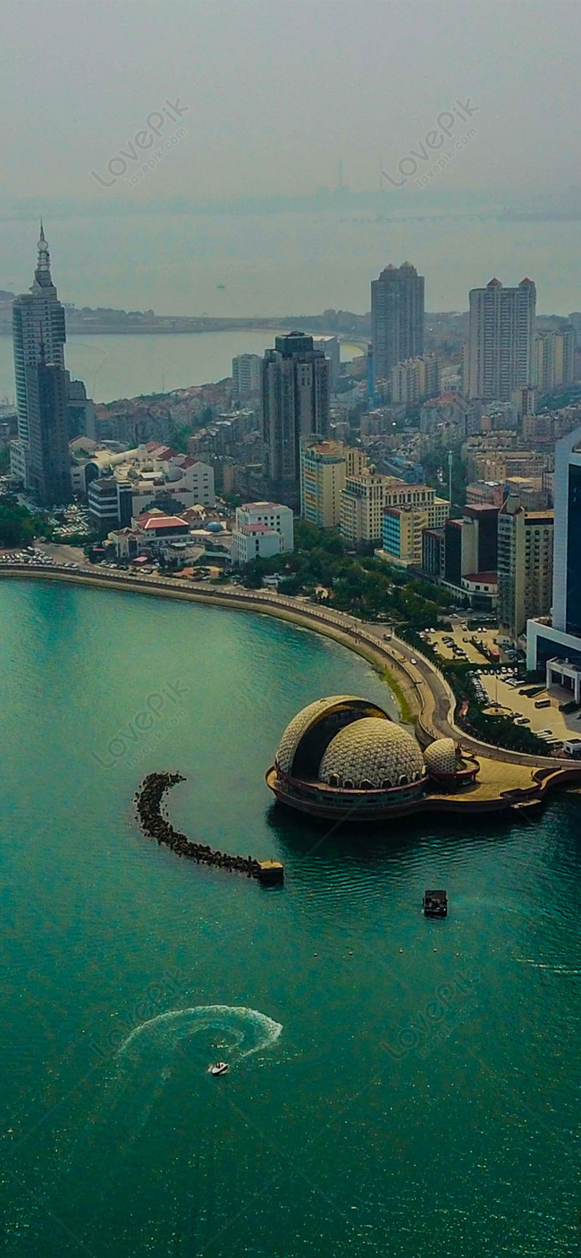 650x1407  mobile Телефон Обои в углу дворца Музей фона фона скачать бесплатно на Lovepik | 400648336