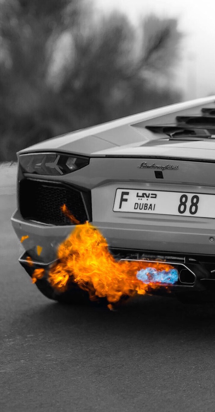 712x1363  Mobile HD обои