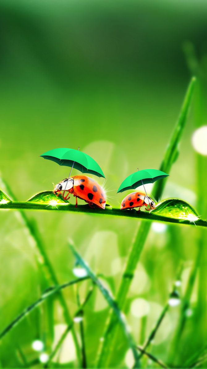 670x1191   J7 J5 J3 J2 J1 Samsung HD Wallpapers Für Android - APK Herunterladen