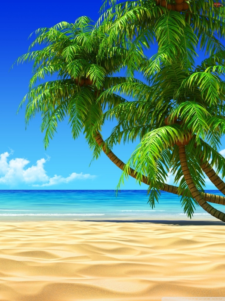 768x1024 Palm Trees Ultra HD Desktop Background Wallpaper для: широкоэкранный u0026 UltraWide Desktop u0026 Ноутбук: многоэкранный двойной монитор: планшет : Смартфон