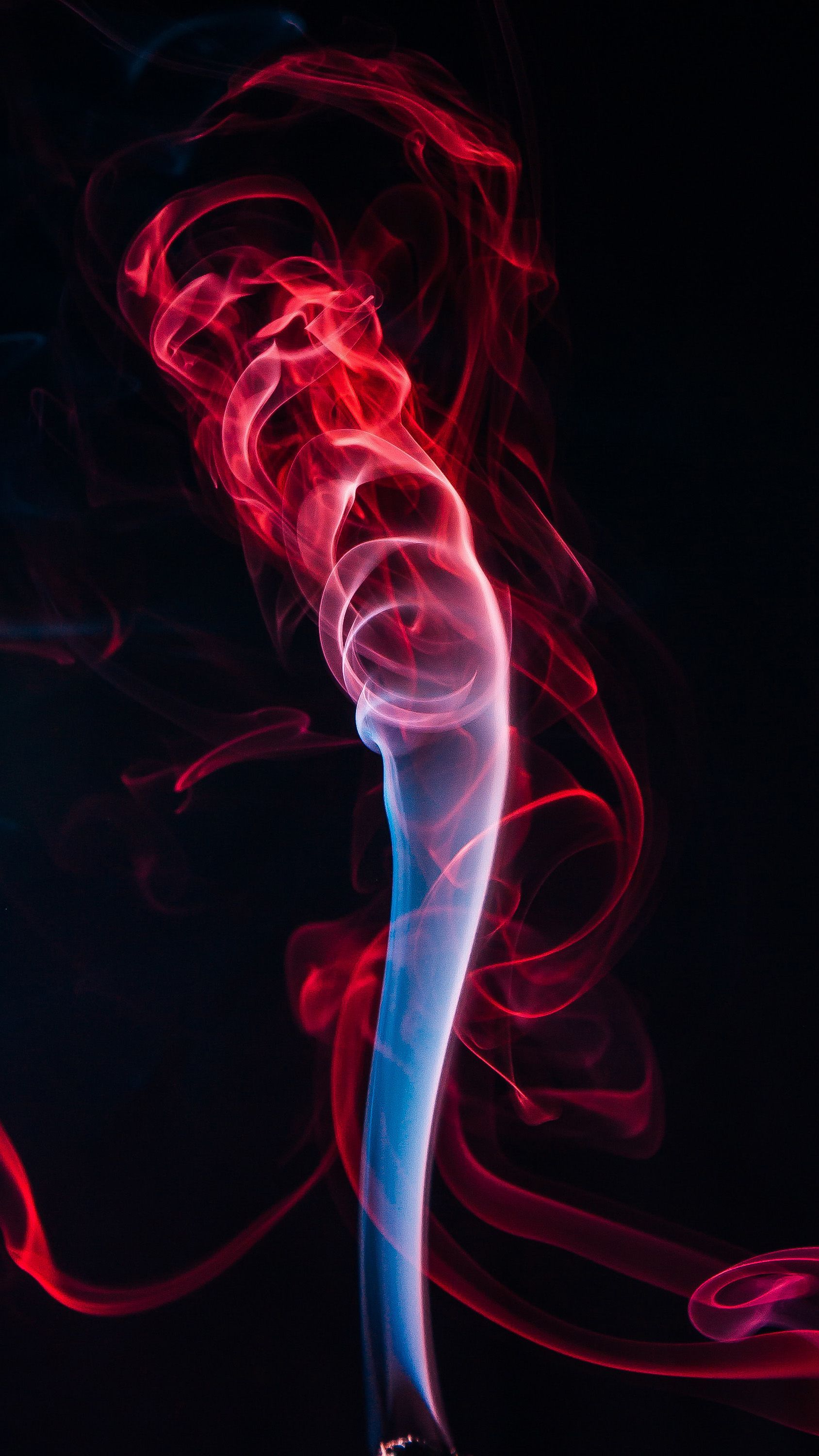 1688x3000  xiaomi Mi 11, Mi 11, HD на телефон. Peakpx