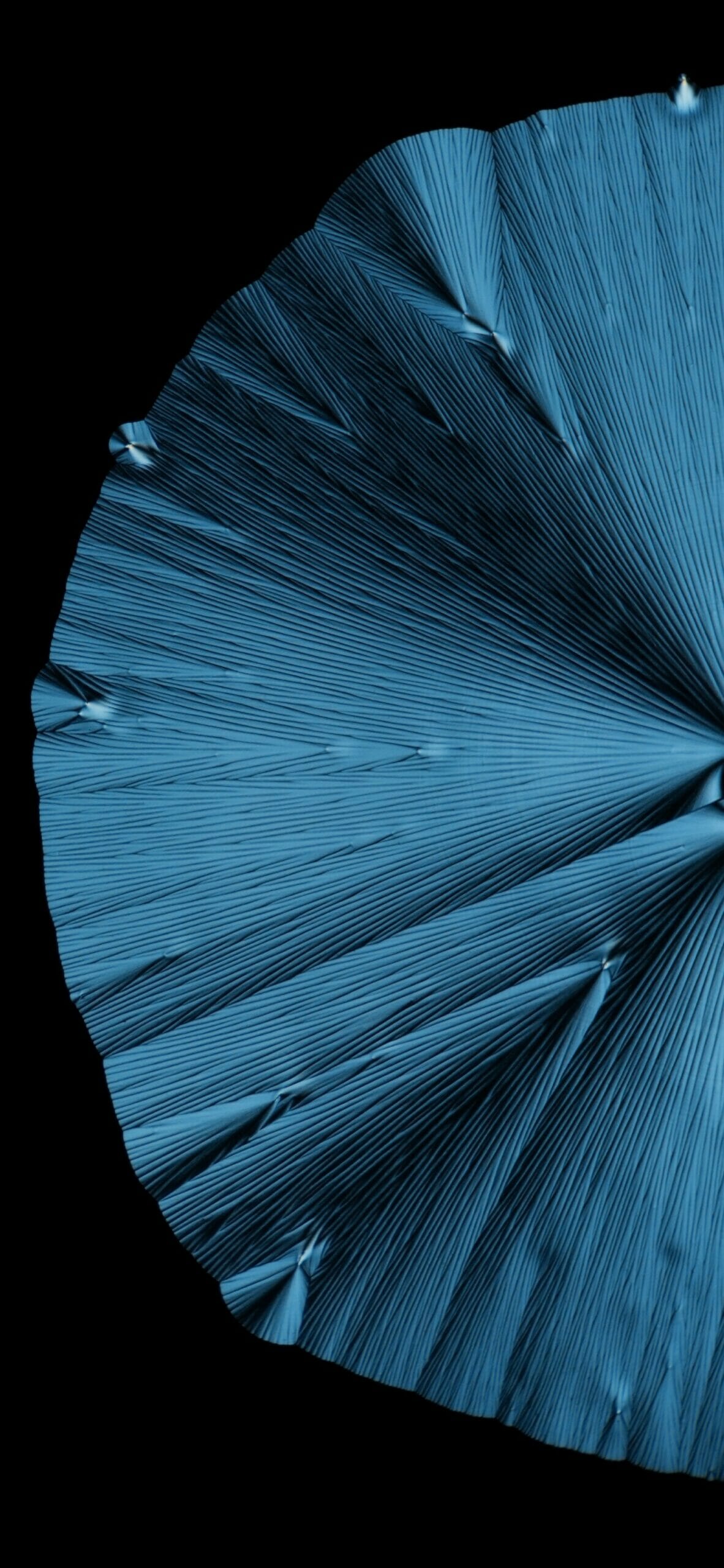 1182x2560  redmi 10a Ключные характеристики: вот что мы знаем, что пока Обои. Скачать здесь - Xiaomiui