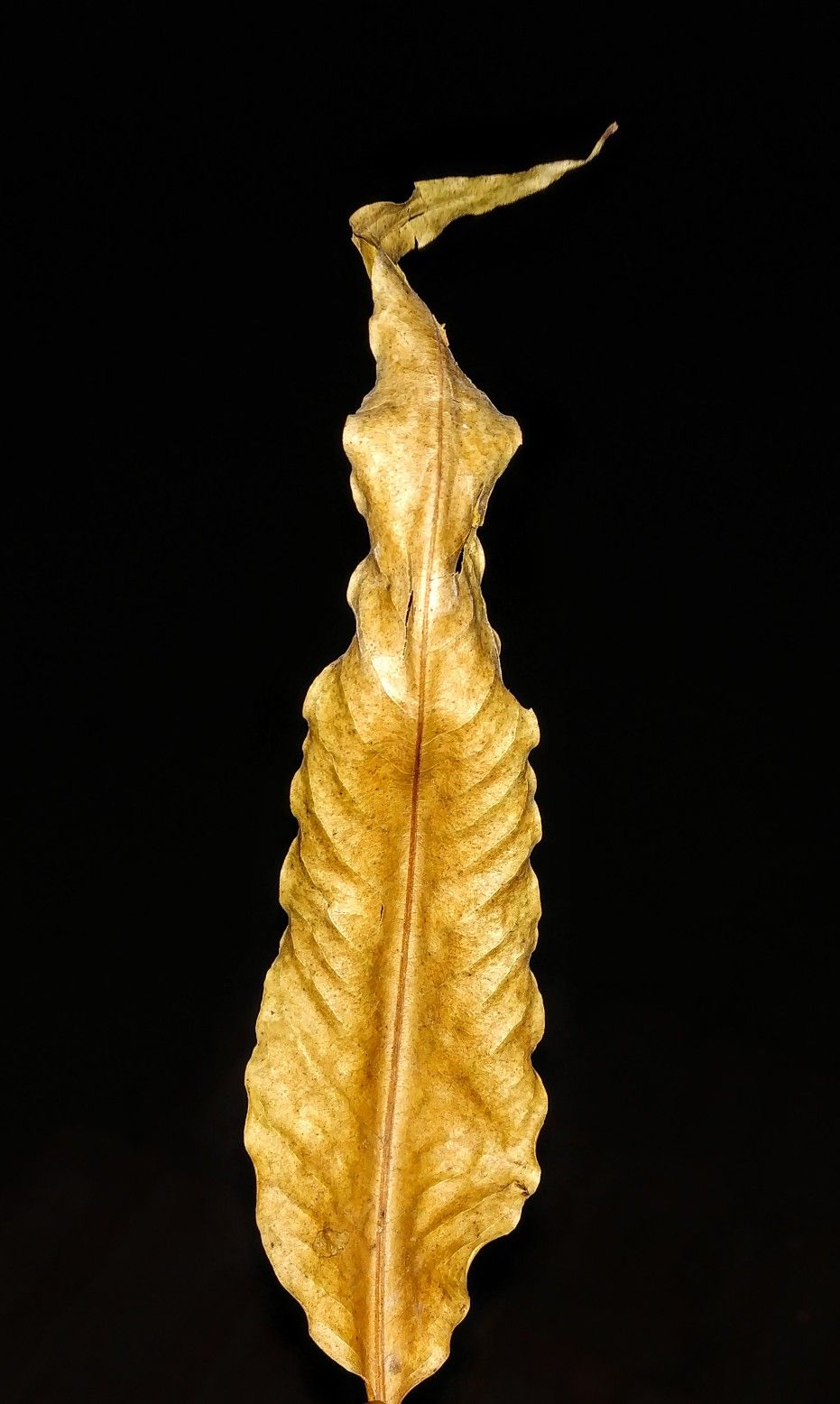 931x1556  279591 HTC, зеленый, вода, синий, бирюзовый, Xiaomi Redmi Note 5 Pro Wallpaper HD скачать, 1080x2160 - Mocah HD Wallpapers