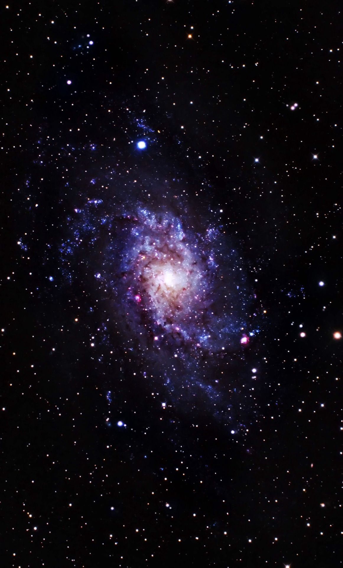 1161x1920   Цвет Спитцер Трехцветное изображение SC Spral Galaxy M33. Изображение ... |. Скачать научную диаграмму