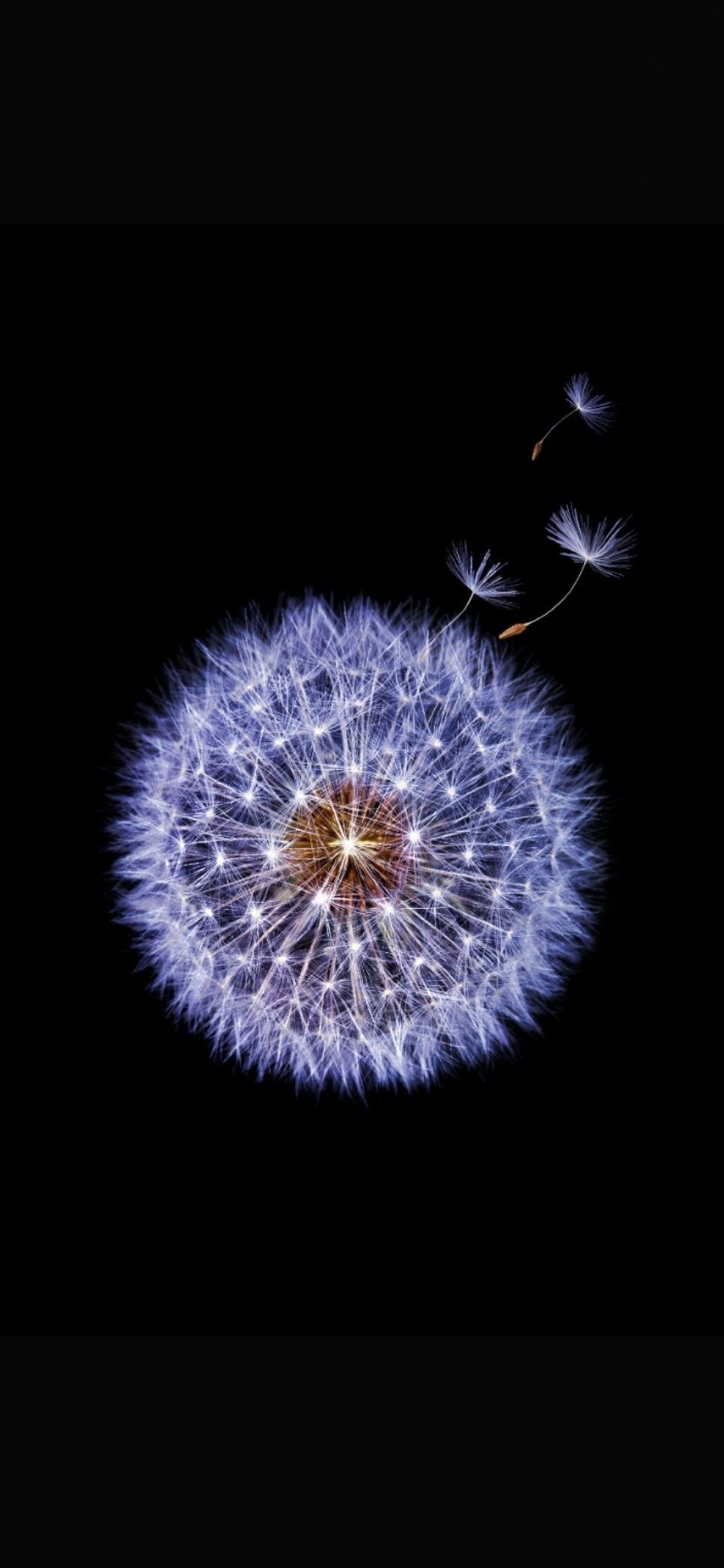 967x2094   27+] Samsung S9 Обои на Wallpapersafari