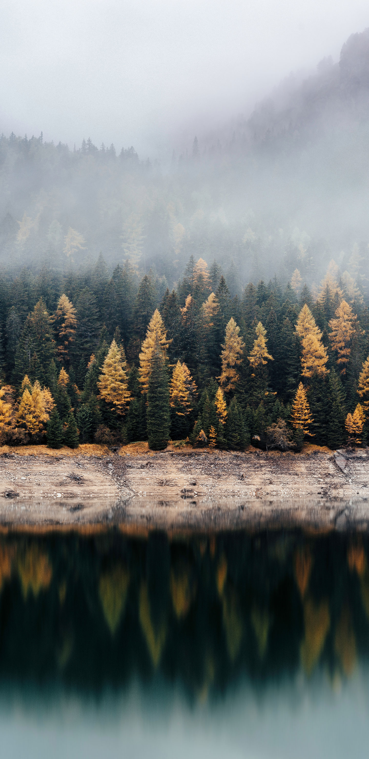 1440x2960  s9 плюс обои für android - apk herunterladen 