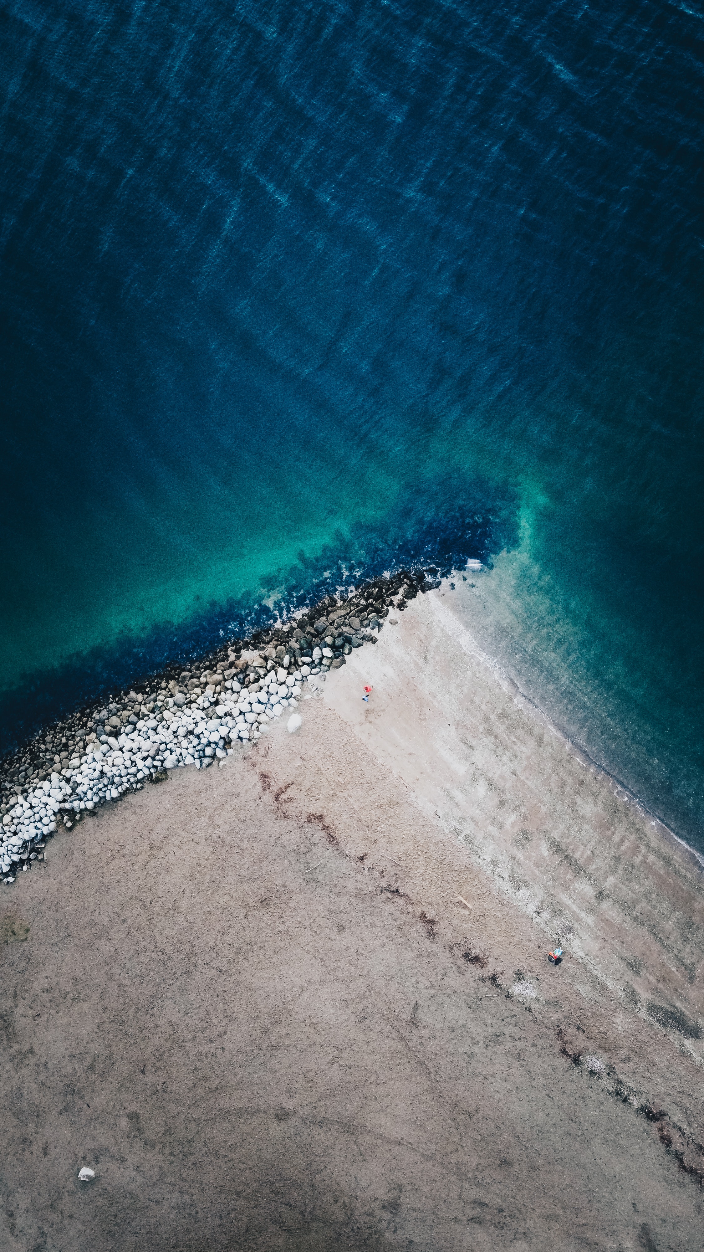 2250x4000  colourful Art Samsung Galaxy M12 Back кожная обертка | Только RS.149 - Skinlelo