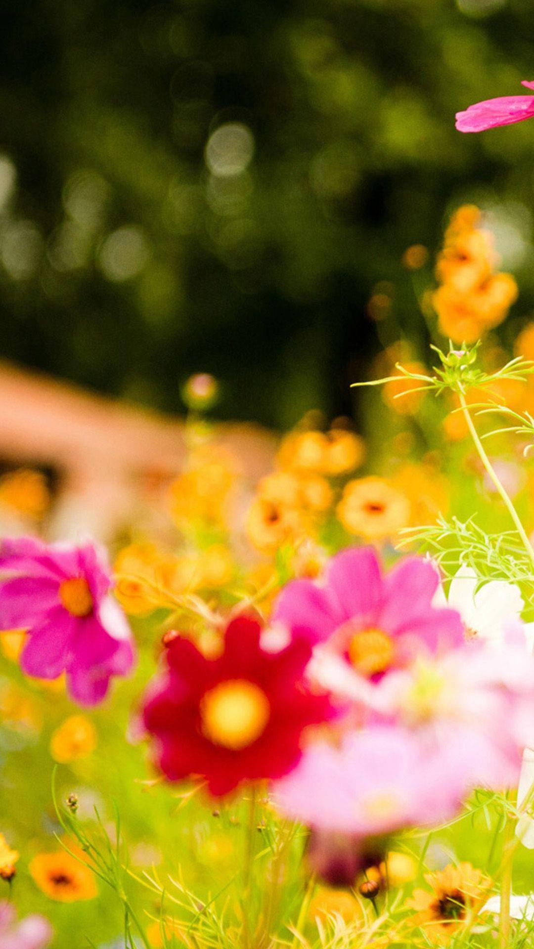 1080x1920  samsung Galaxy J6 обои - обои Cave