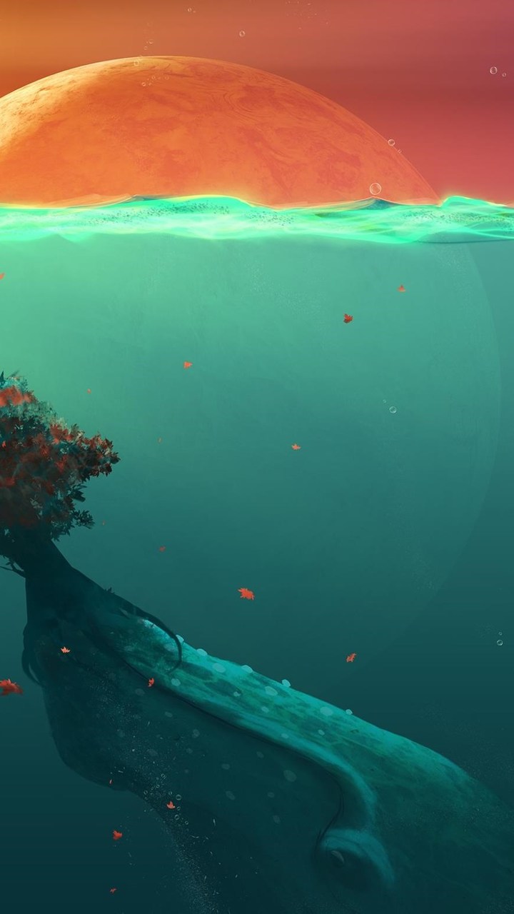 720x1280   10+] Samsung J5 на Wallpapersafari