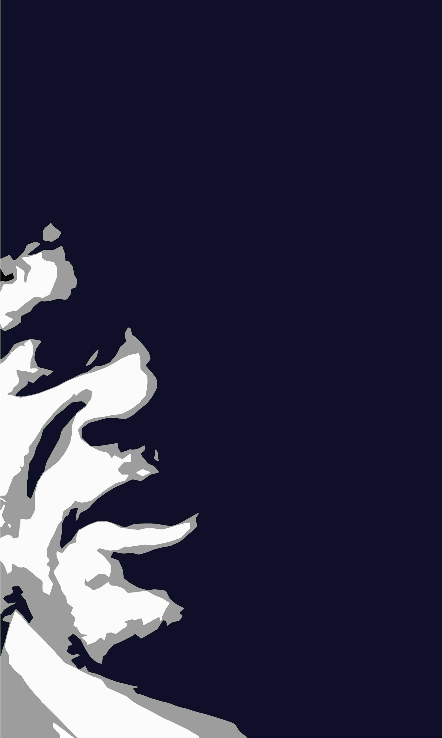 1536x2560   Whinter Tablet Обои - Обои Cave