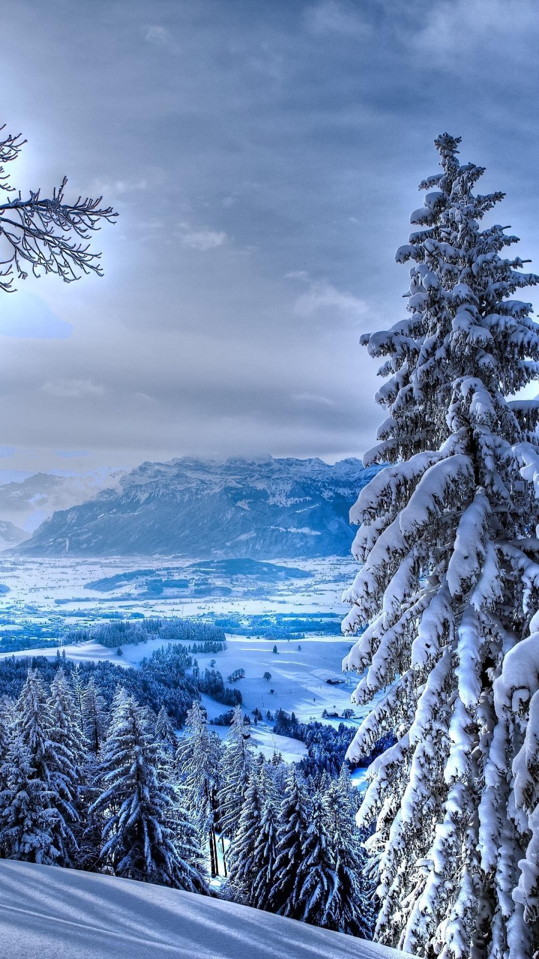 1080x1920  800x1280 CyberPunk City Nexus 7, Samsung Galaxy Tab 10, Note Android таблетки HD 4K обои, изображения, фоны, фотографии и фотографии