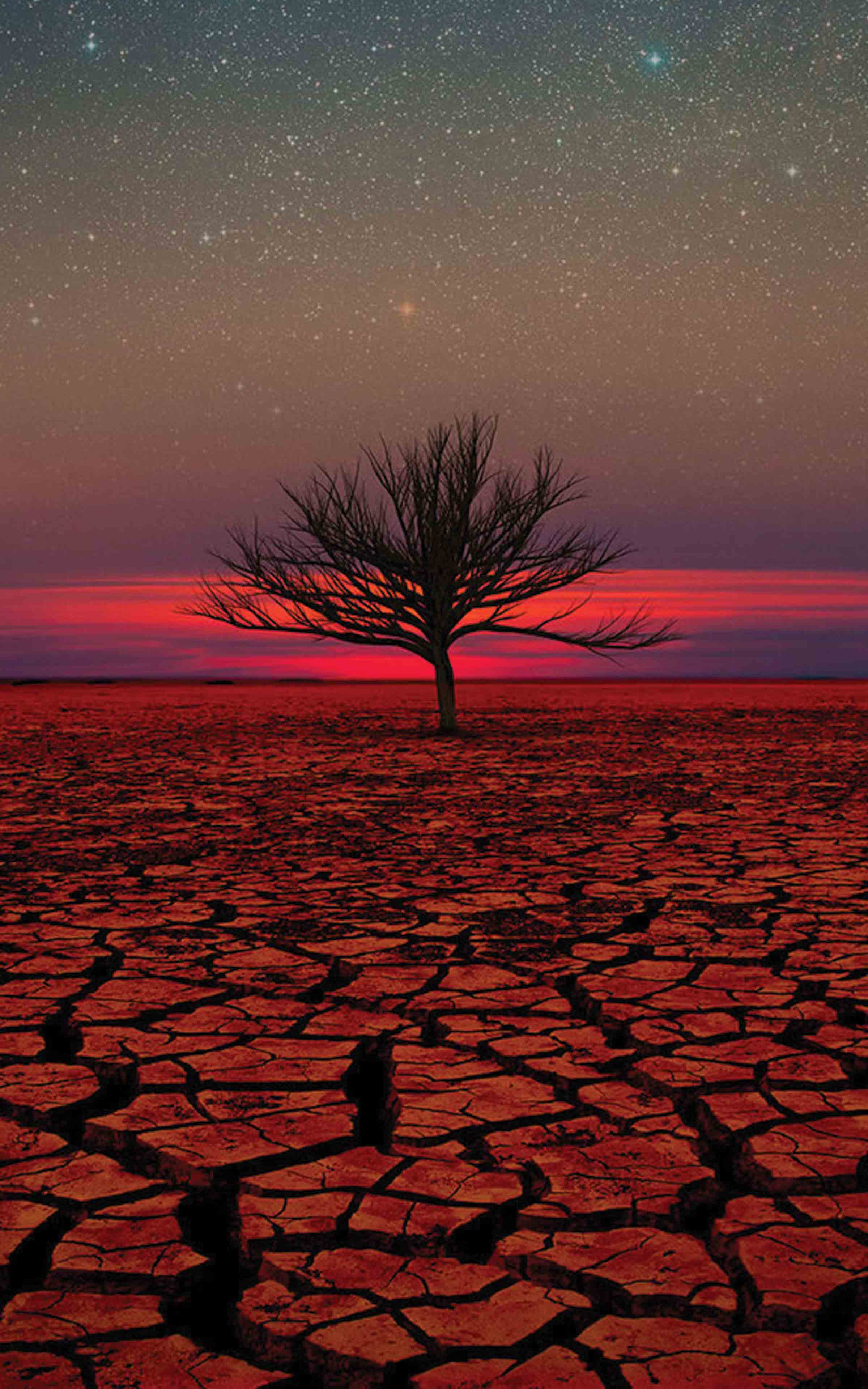 2400x3840  samsung Galaxy Tab 10 Таблетки Обои и фоны Обои для рабочего столаОбои с грани - Hearge