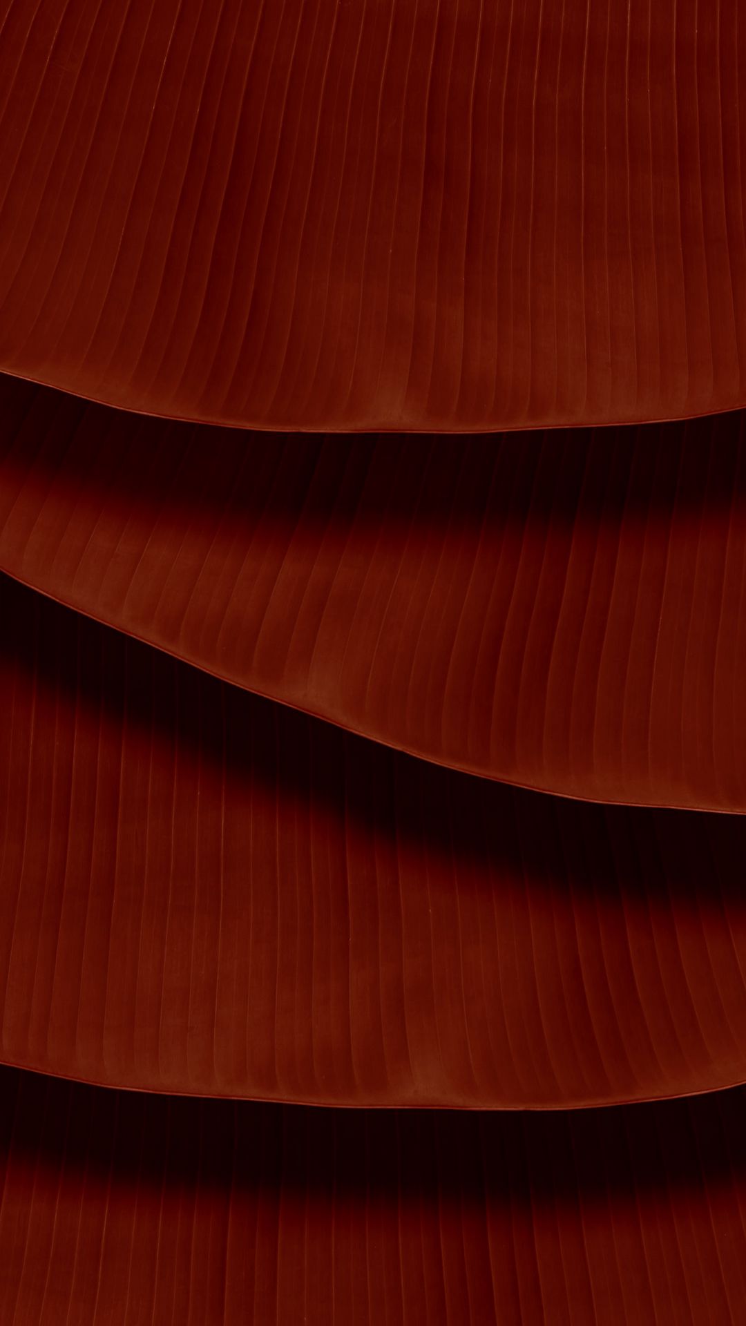 1080x1920  samsung M51: R / MobileWallpaper 