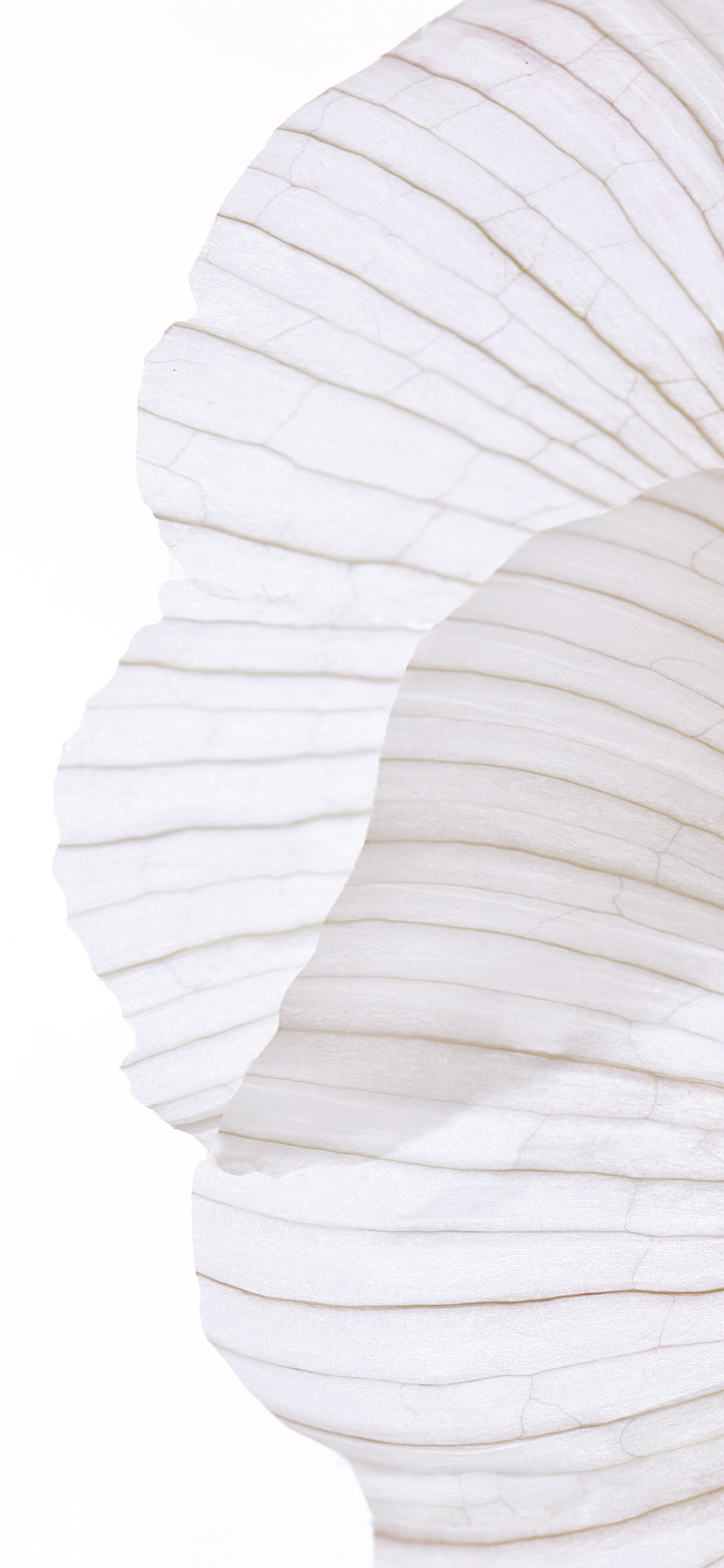 1080x2340  Realme GT Wallpapers - обои Wallpaper (YTECHB Exclusive) | Сток обои, обои, лучшие обои для iPhone