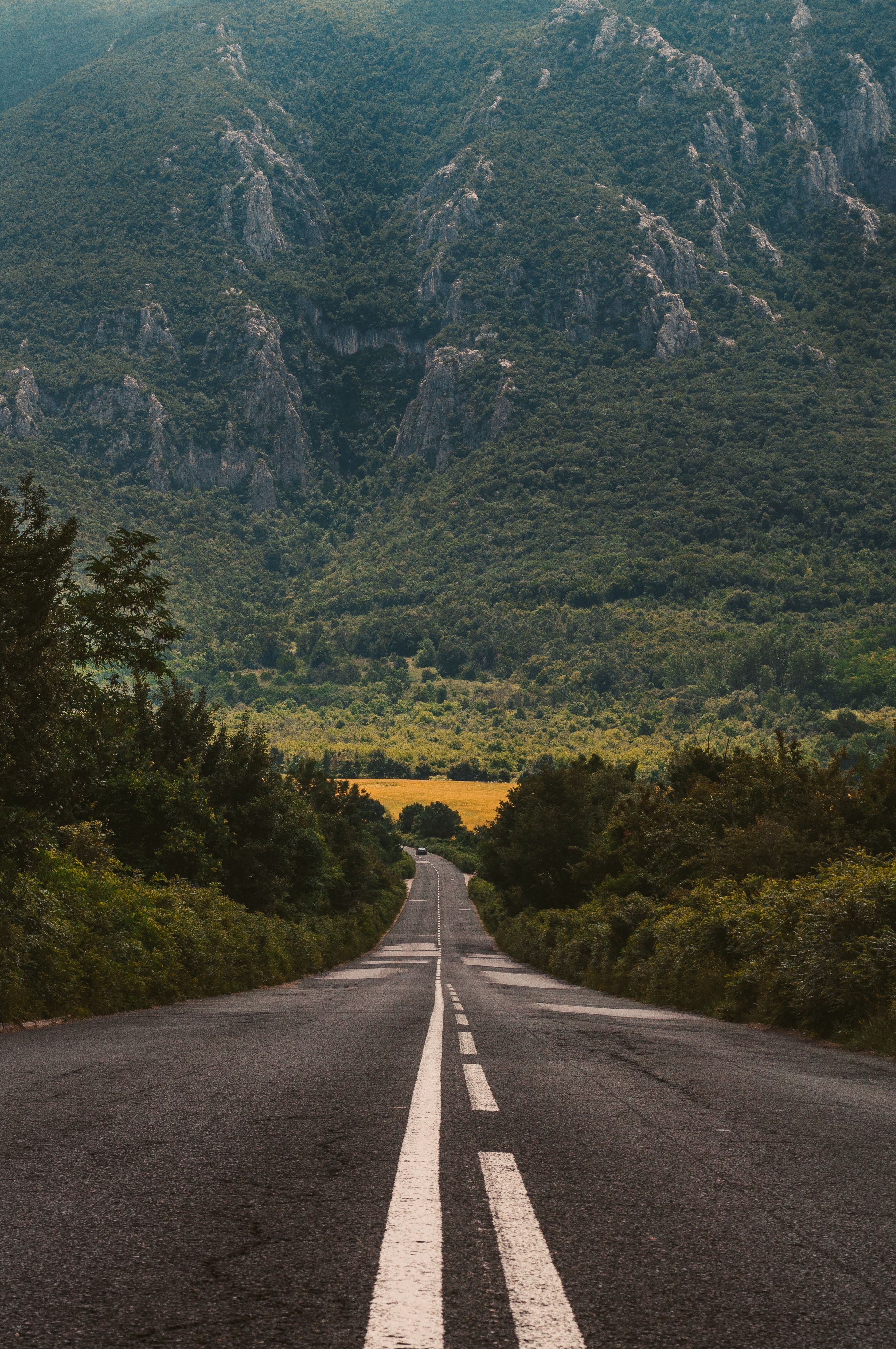 2667x4015 Road wallpaper для Андроид - скачать APK