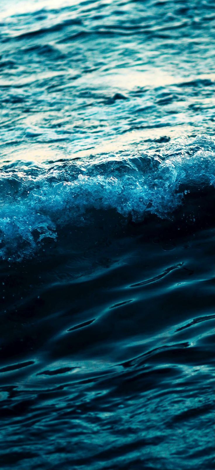 736x1604   iPhone 13 Pro и iPhone 13 Pro Max Обои | IPhone Wallpaper, HD обои iPhone, обои 