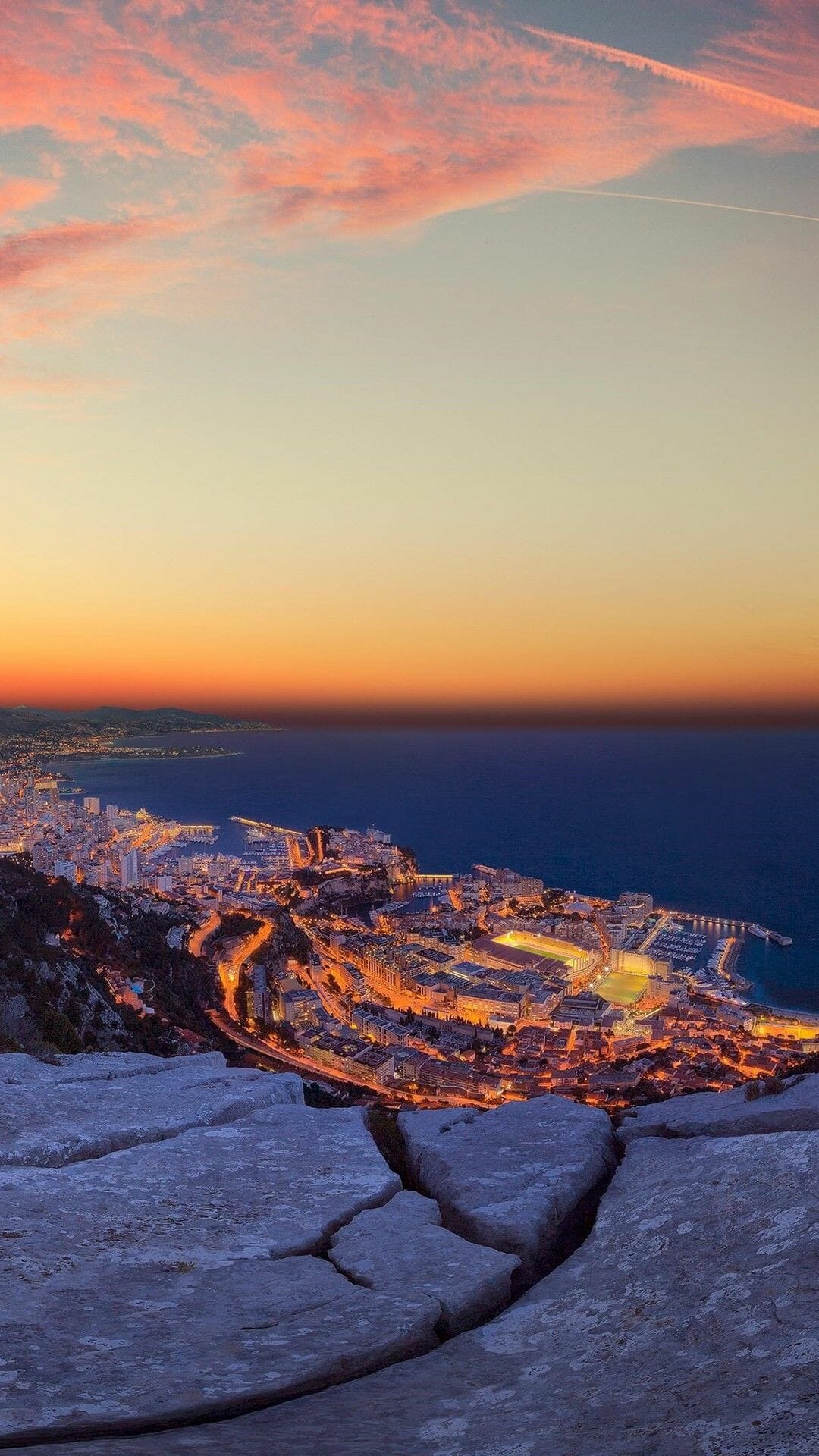 1080x1920   Лев ищет небо животных природа темное фото iPhone 8 обои бесплатно скачать 