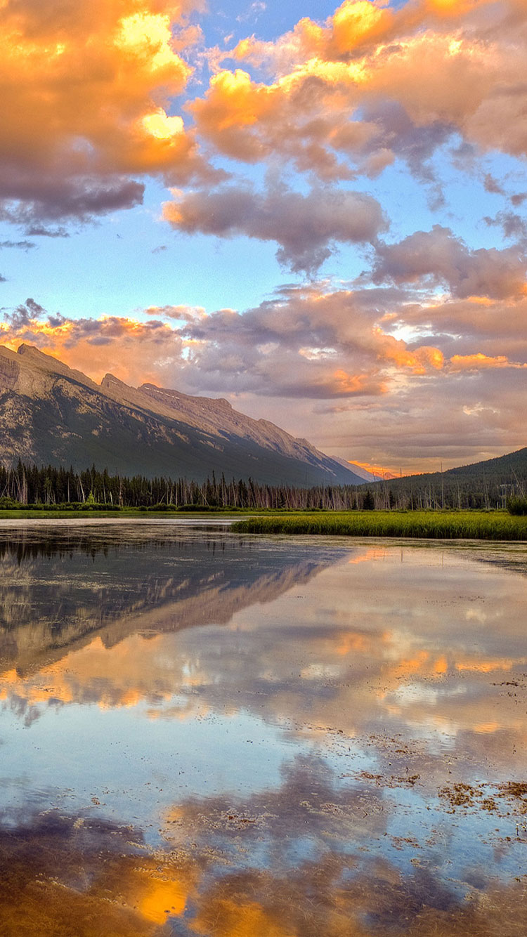 750x1334   Симпатичные Обои iPhone 6 HD - 2022 Телефон HD 