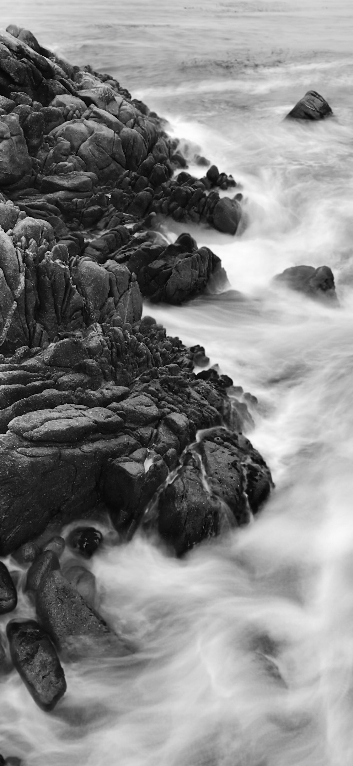 1125x2436  iphone 11 Pro Woods - 1242x2688 Обои - Teahub.io 