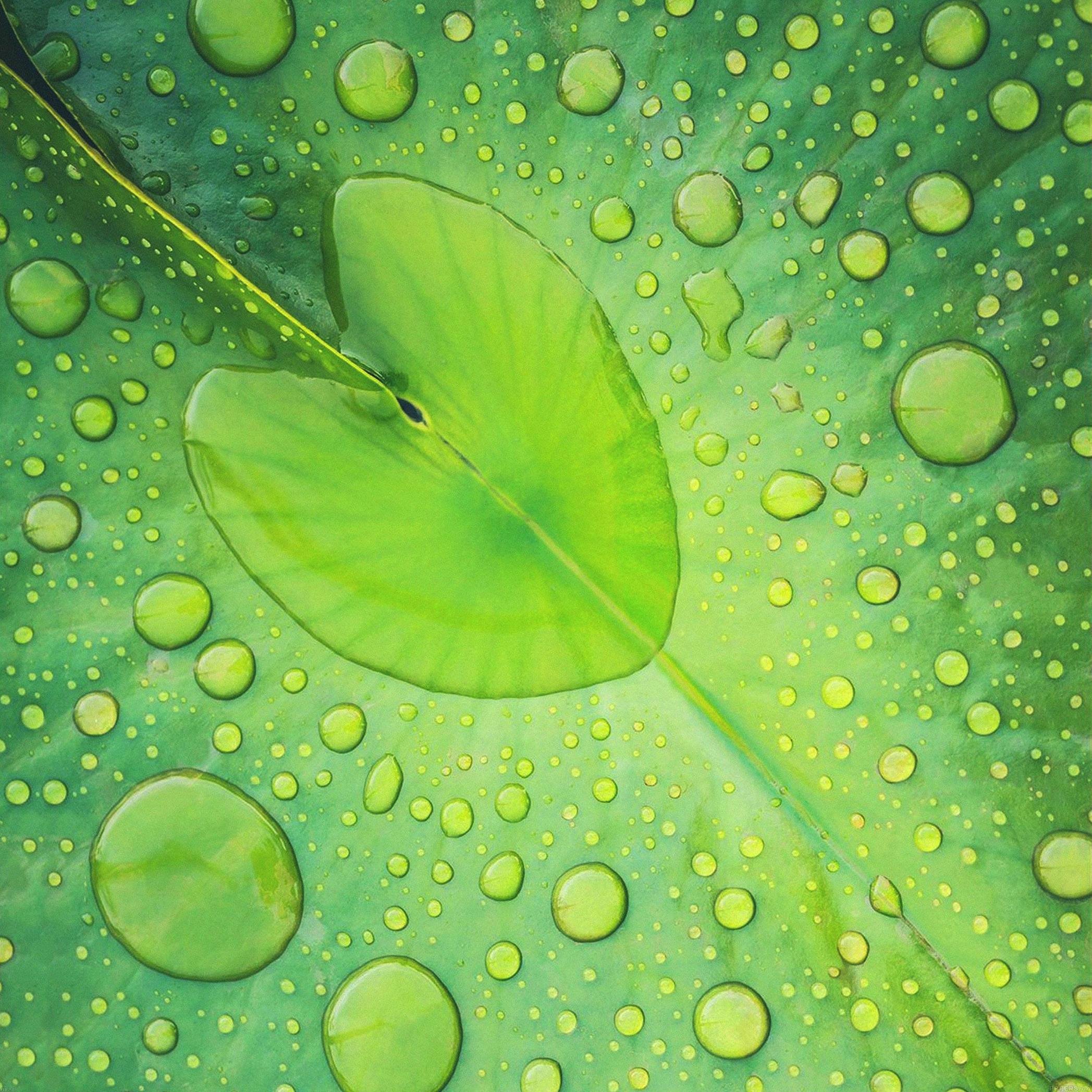 2095x2095  new iPad Мини Обои для iPhone