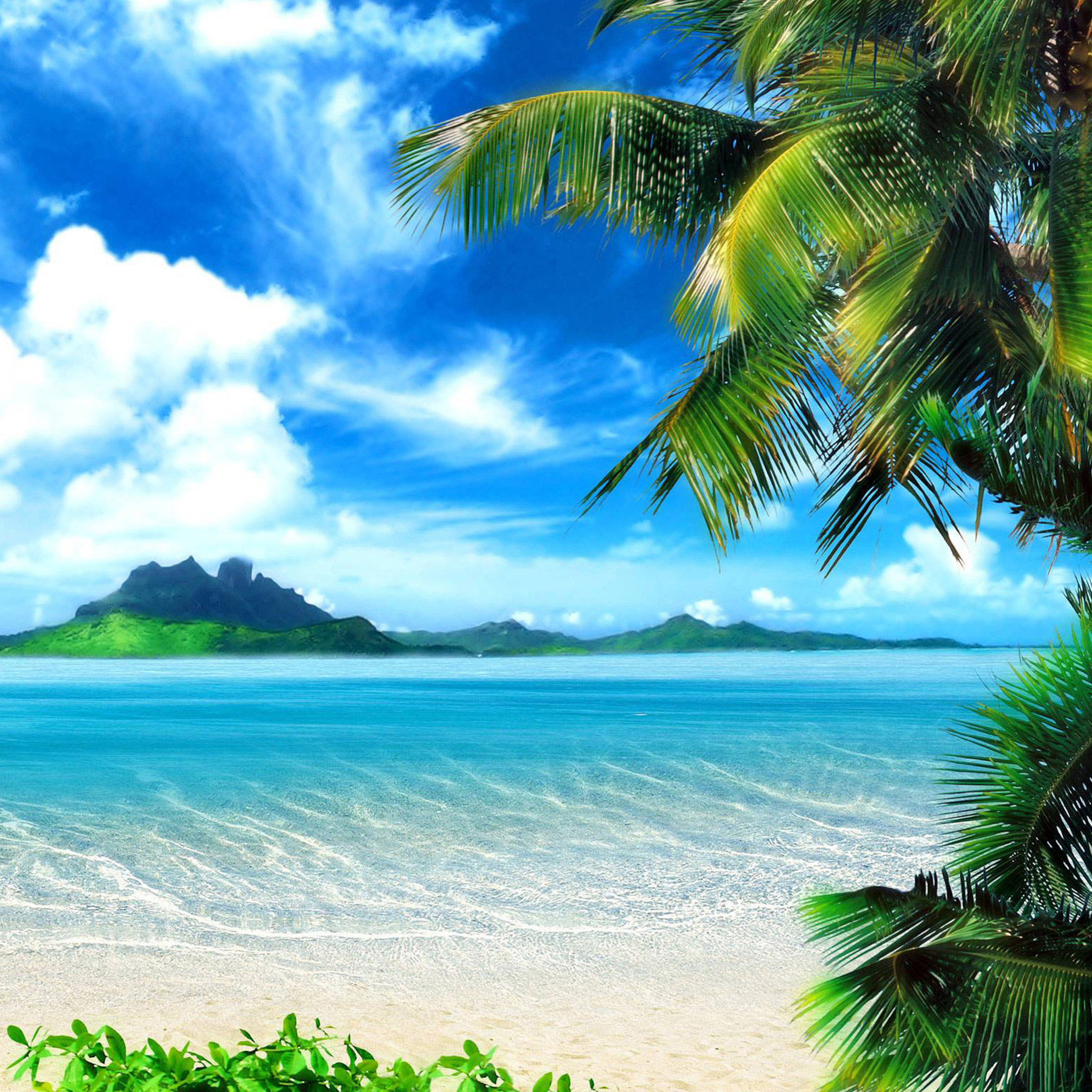 2048x2048  IPAD AIR 3 Обои для обоев - обои Wallpaper Cave