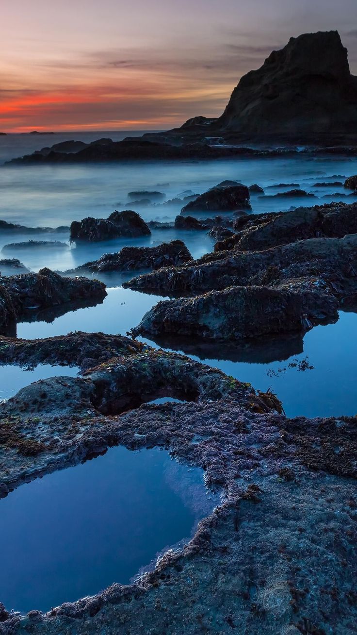 736x1308   iPad Mini 2 Обои Размер Опубликовано Сара Меркадо 