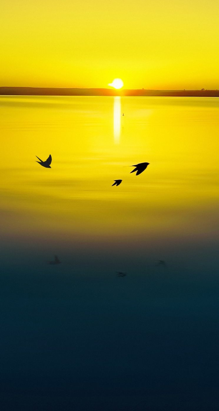 744x1392   Лучшие обои для iPhone 5s Автор: Sarah Mercado