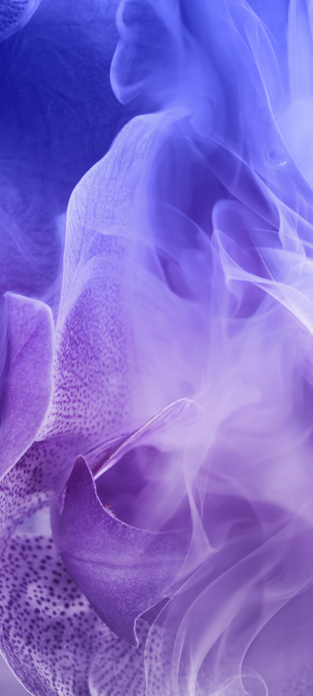 1080x2400   Huawei Nova 6 Обои - Верхнее Huawei Nova 6 Фон - WallpaperAccess