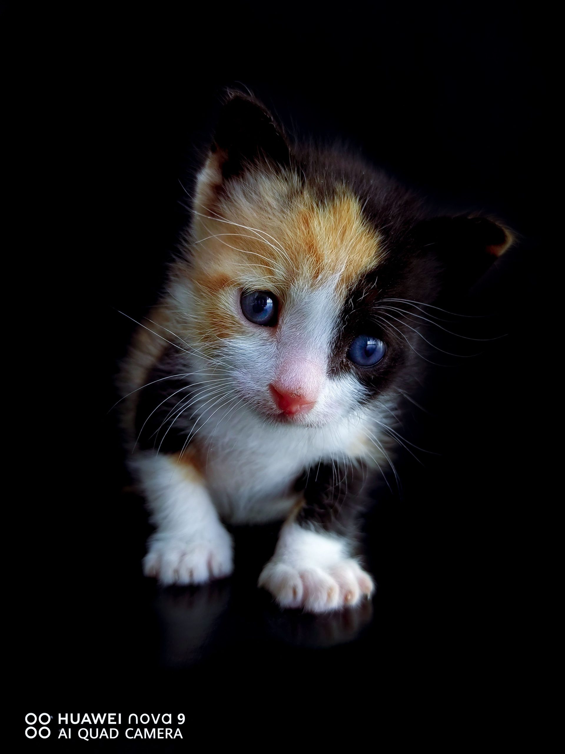 1920x2560   магазин Южной Африки Huawei Black Fritiday Deals, до 90% OFF! 