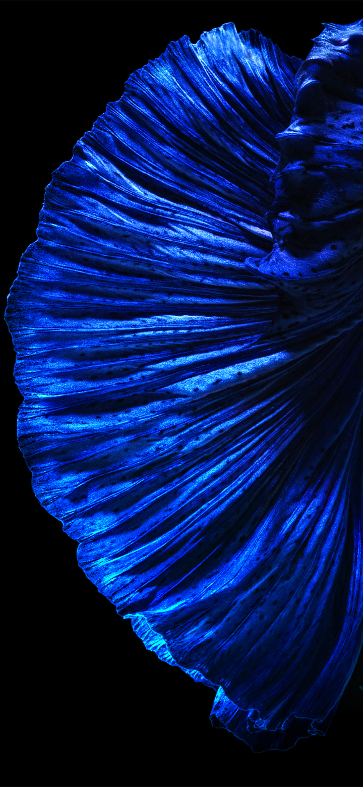 720x1560  Huawei P30 / P30 Pro Обои для Android - APK Скачать 