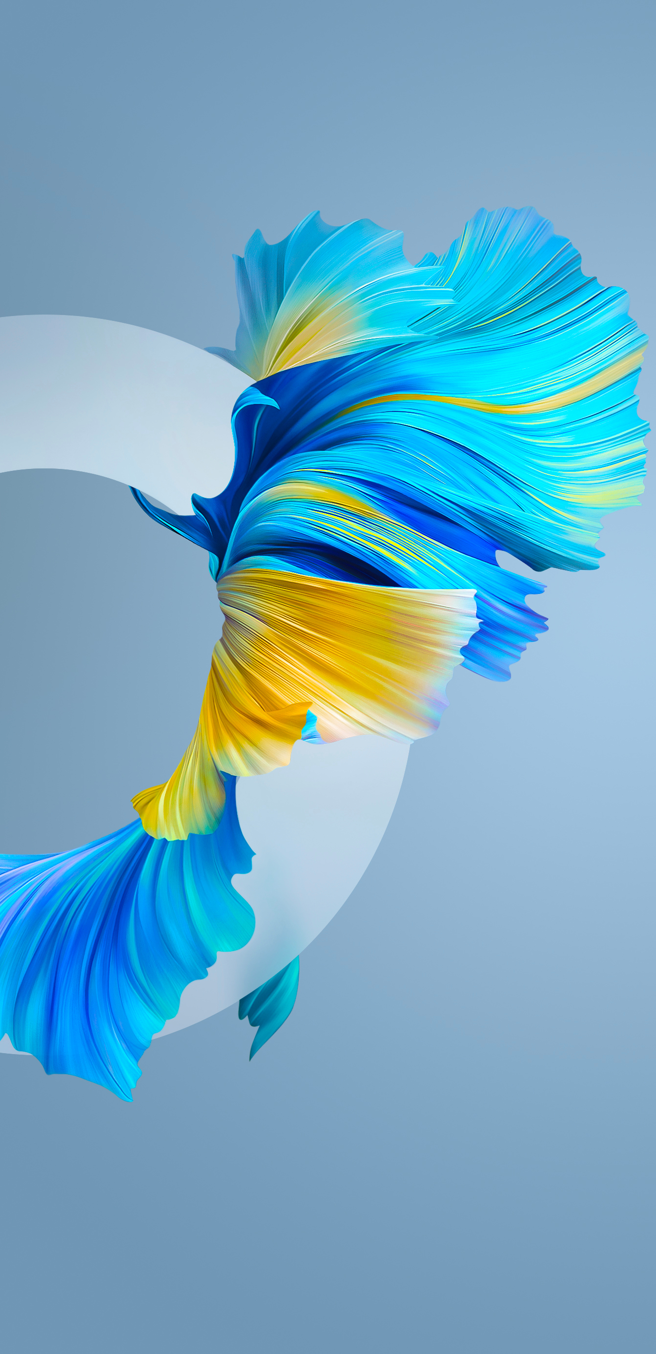 1344x2772  huawei P30 Pro Обои (ytechb Exclusive) | Обои для обоев Huawei, обои, обои 