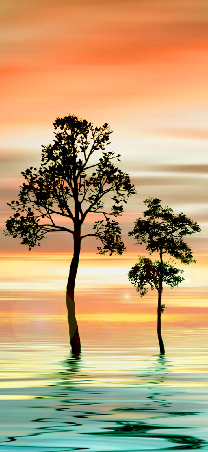 720x1560   Huawei P30 Pro Обои (Exclusive YTechb) | Обои Huawei, насажденные обои, Apple Logo Wallpaper